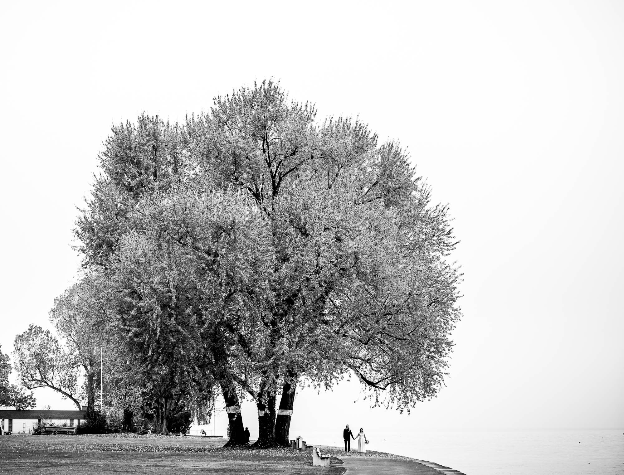 Export x3 1DX29318 Pano Hochzeit 2020 Monika & Sharru 2